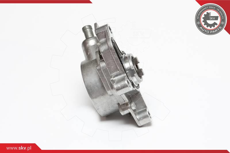 ESEN SKV Unterdruckpumpe, Bremsanlage