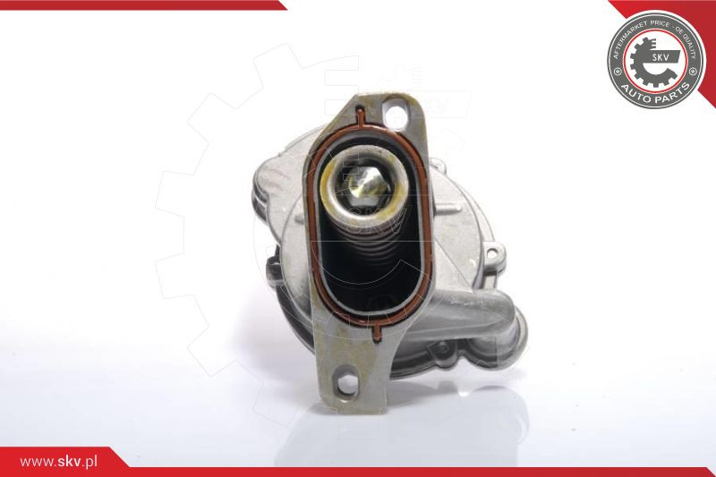 ESEN SKV Unterdruckpumpe, Bremsanlage