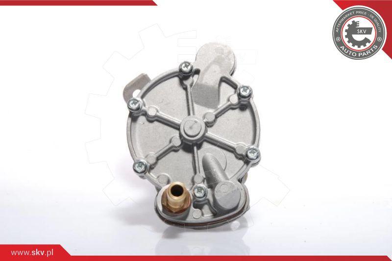 ESEN SKV Unterdruckpumpe, Bremsanlage