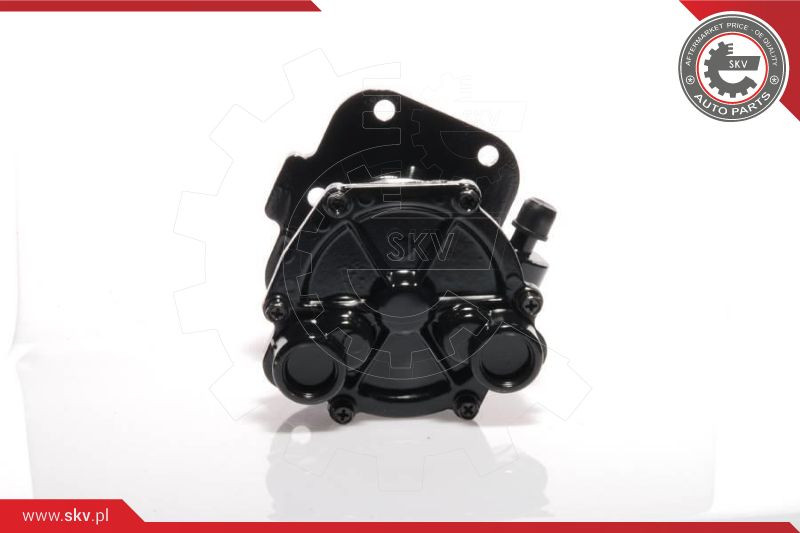 ESEN SKV Unterdruckpumpe, Bremsanlage