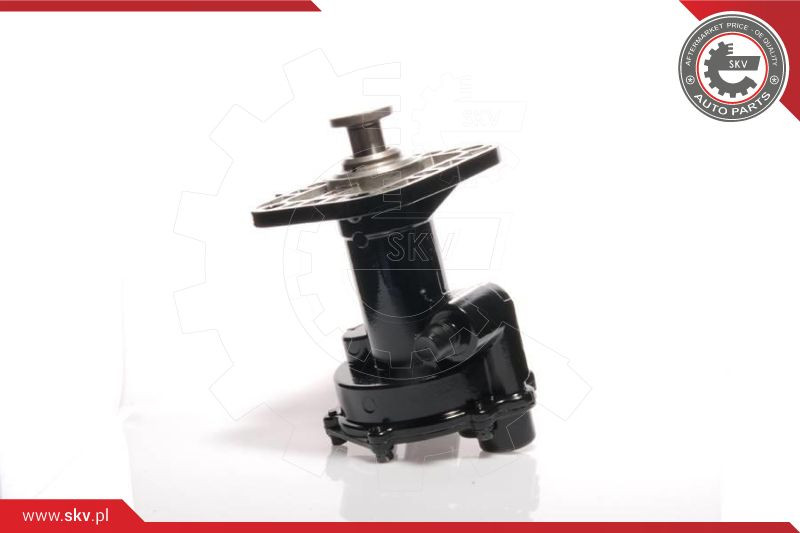 ESEN SKV Unterdruckpumpe, Bremsanlage