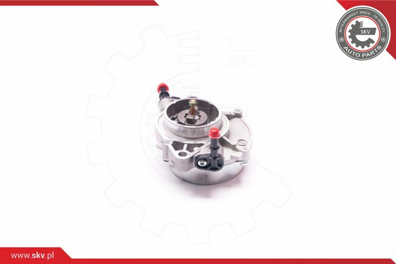 ESEN SKV Unterdruckpumpe, Bremsanlage