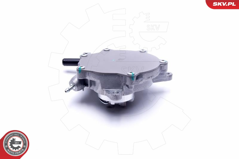 ESEN SKV Unterdruckpumpe, Bremsanlage