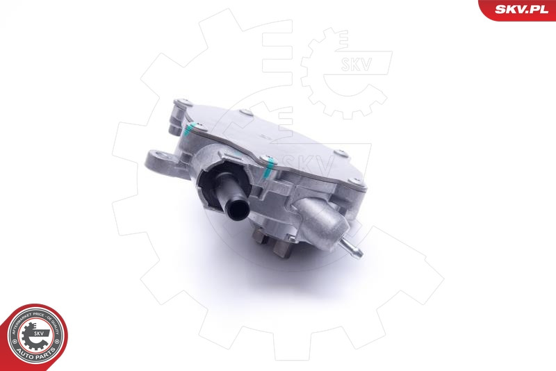 ESEN SKV Unterdruckpumpe, Bremsanlage