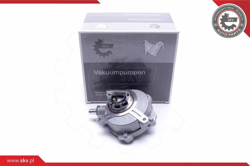 ESEN SKV Unterdruckpumpe, Bremsanlage