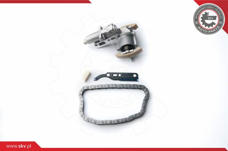 ESEN SKV Steuerkettensatz