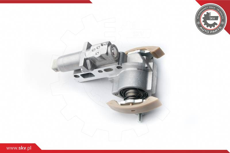 ESEN SKV Steuerkettensatz