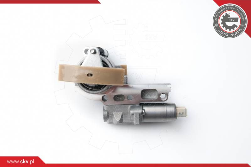 ESEN SKV Steuerkettensatz