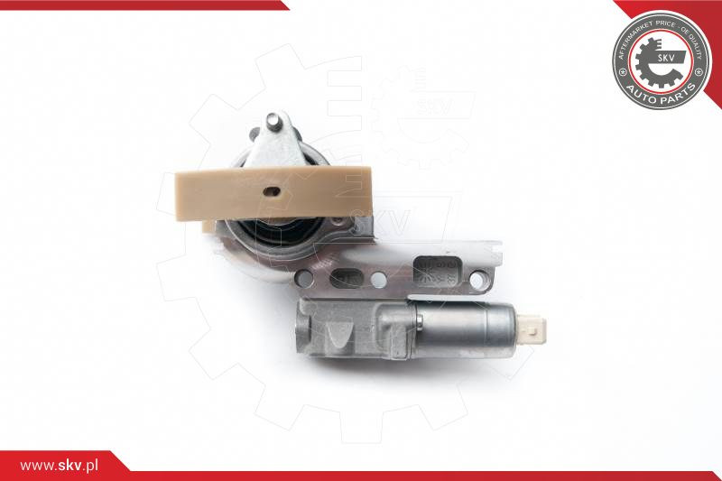 ESEN SKV Spanner, Steuerkette