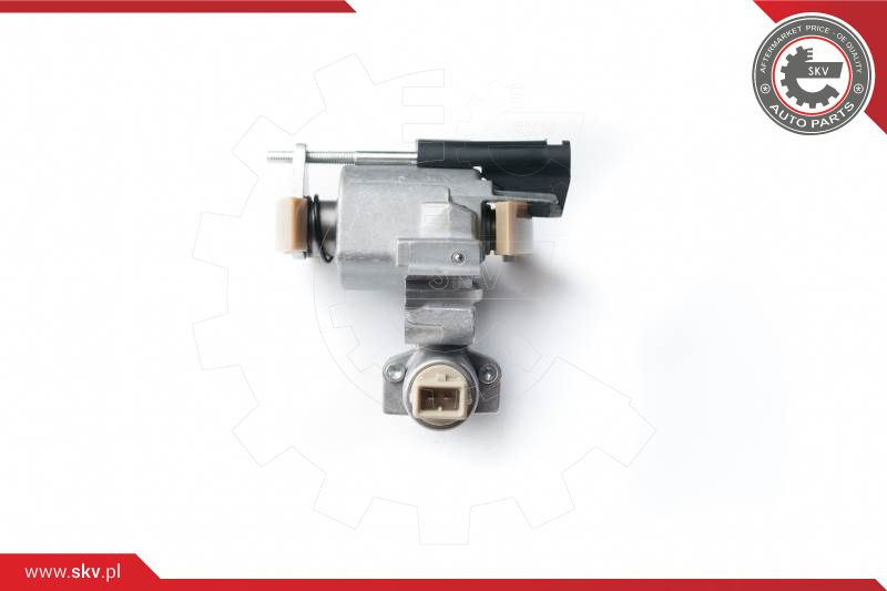 ESEN SKV Spanner, Steuerkette