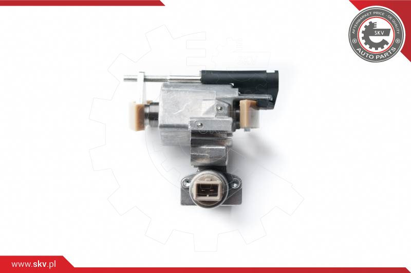 ESEN SKV Spanner, Steuerkette