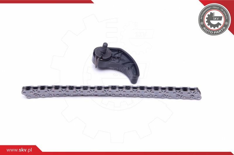 ESEN SKV Kettensatz, Ölpumpenantrieb