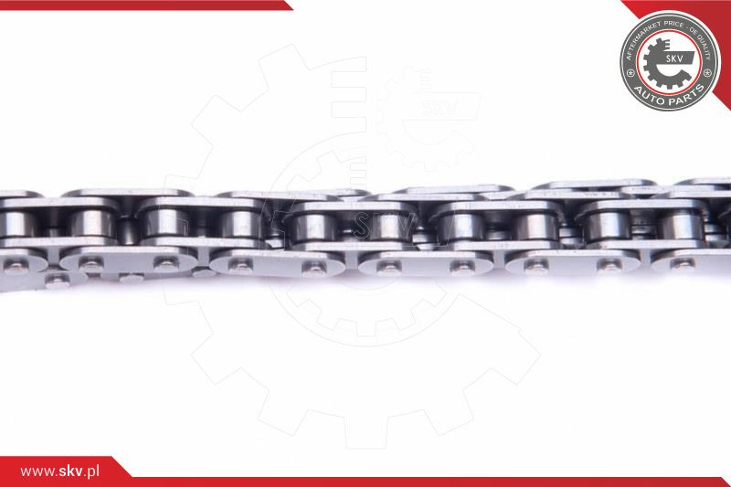 ESEN SKV Kettensatz, Ölpumpenantrieb