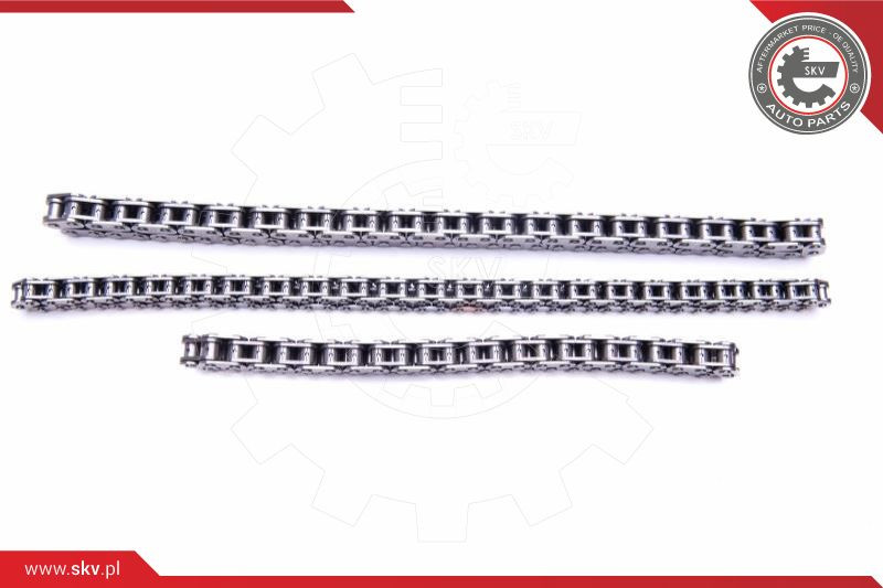 ESEN SKV Steuerkettensatz