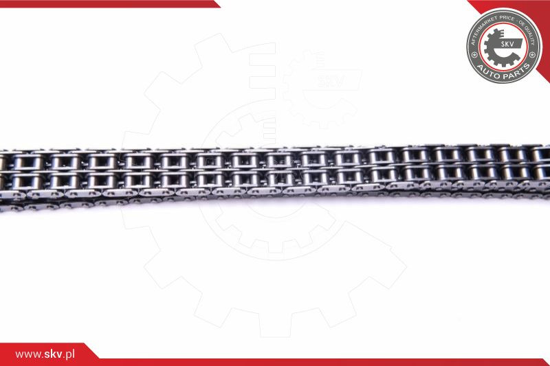 ESEN SKV Steuerkettensatz