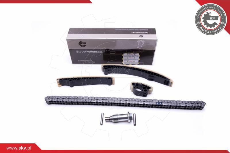 ESEN SKV Steuerkettensatz