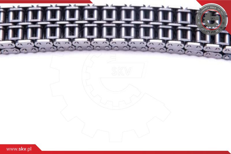 ESEN SKV Steuerkettensatz