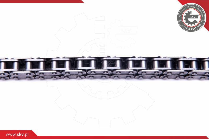 ESEN SKV Steuerkettensatz