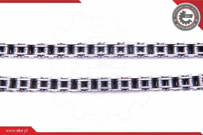 ESEN SKV Steuerkettensatz