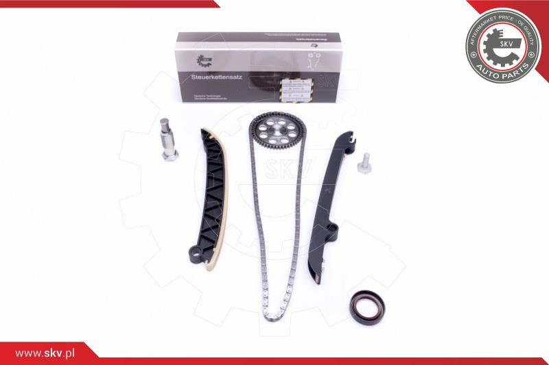 ESEN SKV Steuerkettensatz