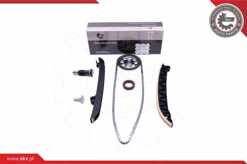 ESEN SKV Steuerkettensatz