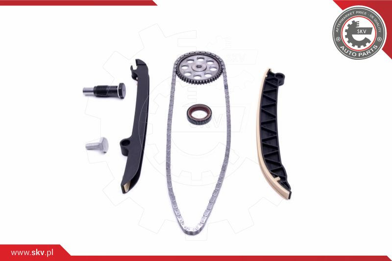 ESEN SKV Steuerkettensatz