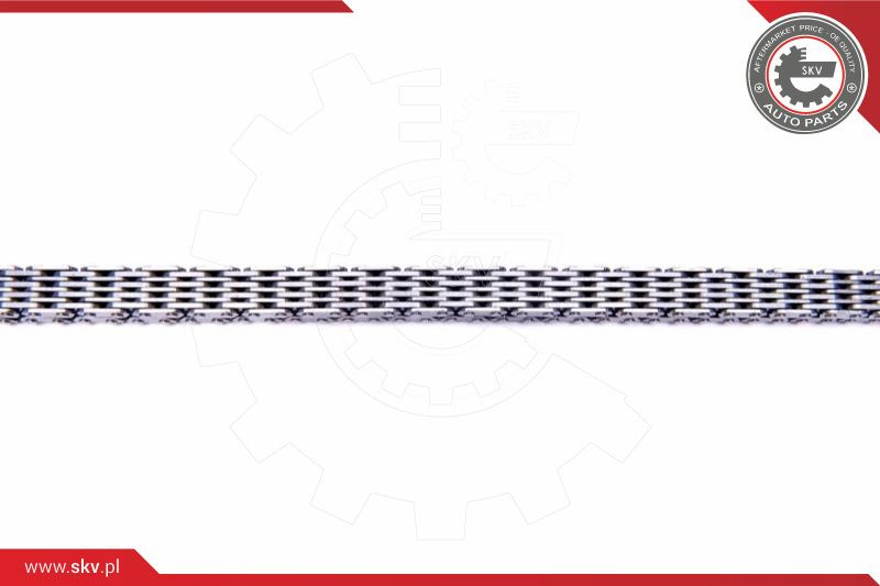 ESEN SKV Steuerkettensatz