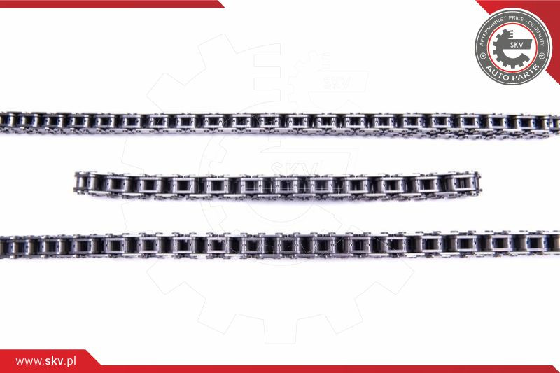 ESEN SKV Steuerkettensatz