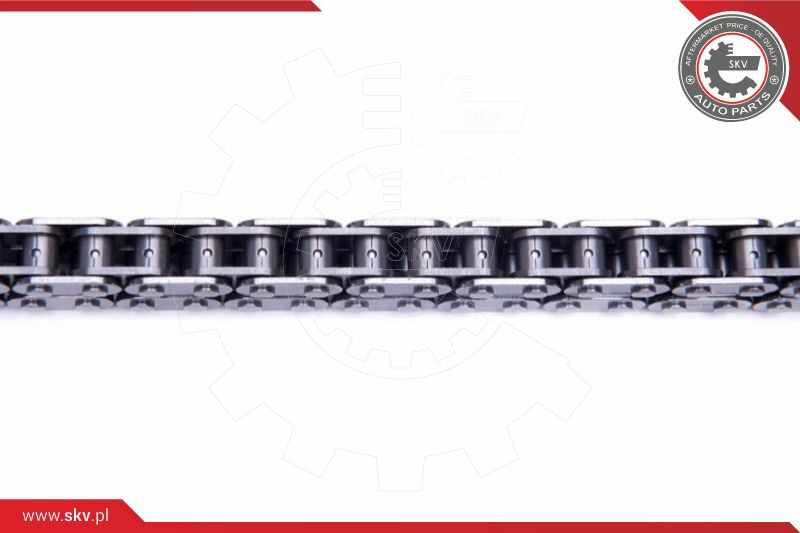 ESEN SKV Steuerkettensatz