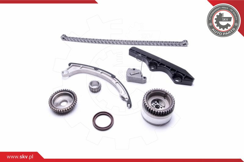 ESEN SKV Steuerkettensatz