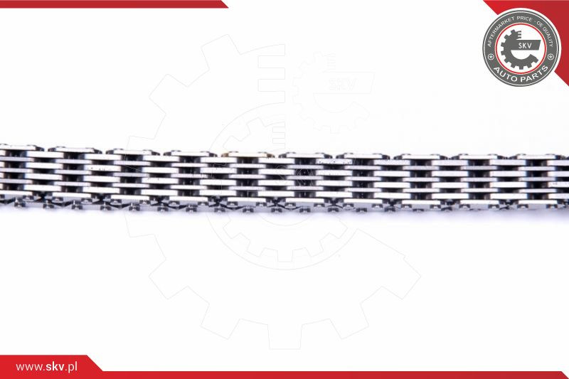 ESEN SKV Steuerkettensatz