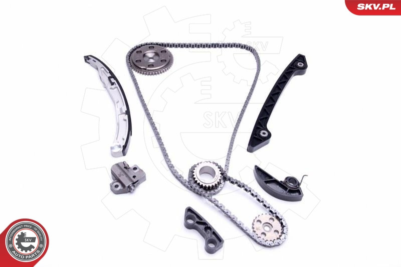 ESEN SKV Steuerkettensatz