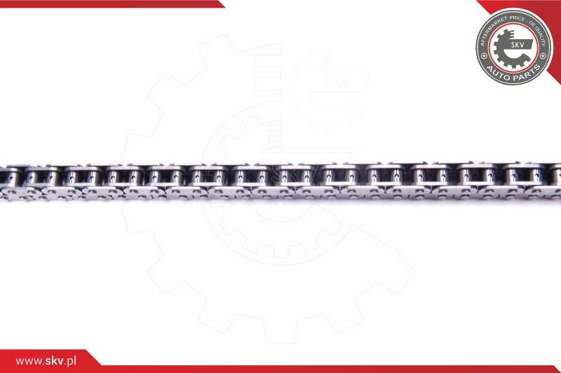 ESEN SKV Steuerkettensatz