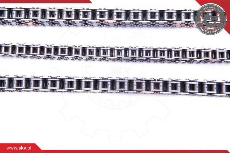 ESEN SKV Steuerkettensatz