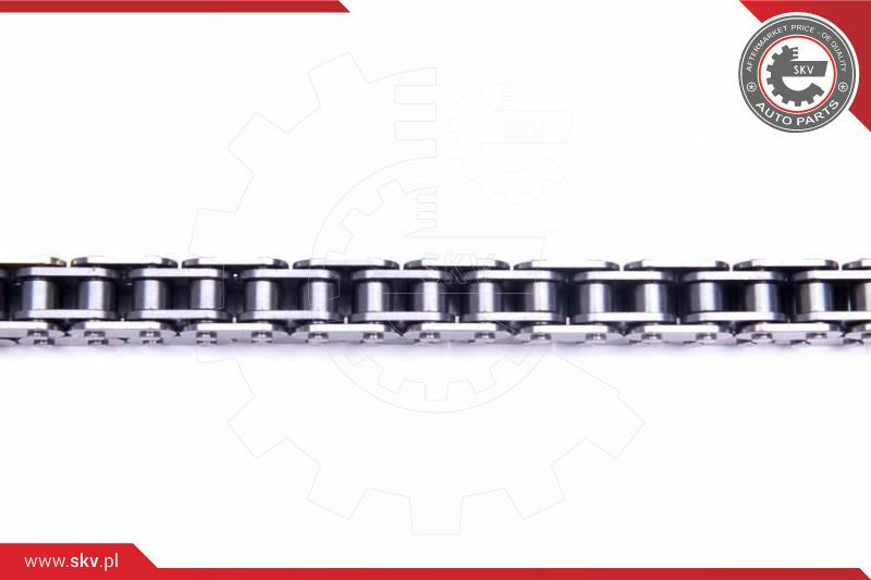 ESEN SKV Steuerkettensatz