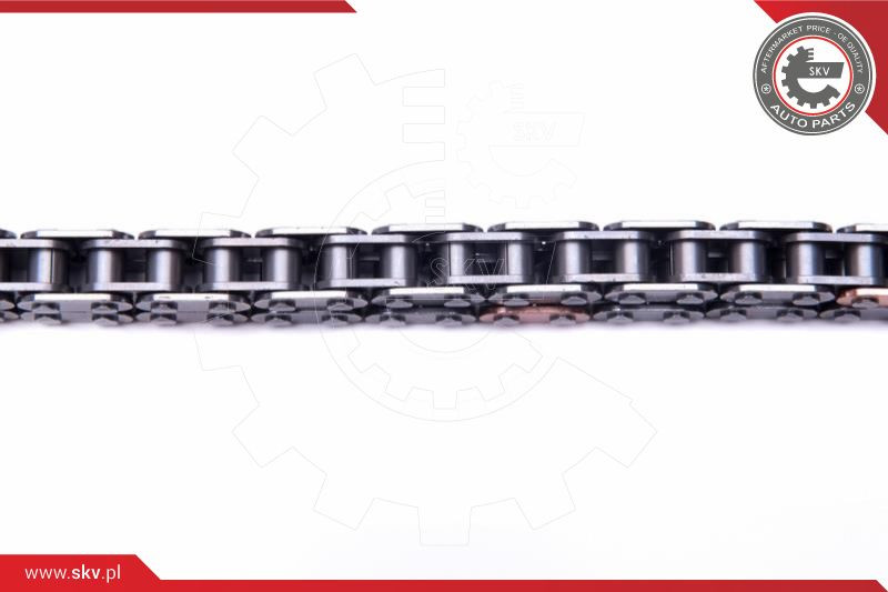 ESEN SKV Steuerkettensatz