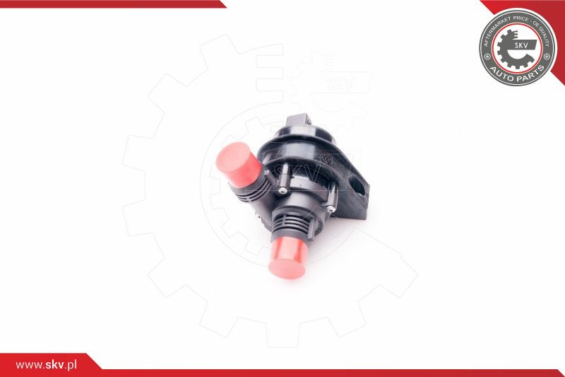 ESEN SKV Wasserumwälzpumpe, Standheizung