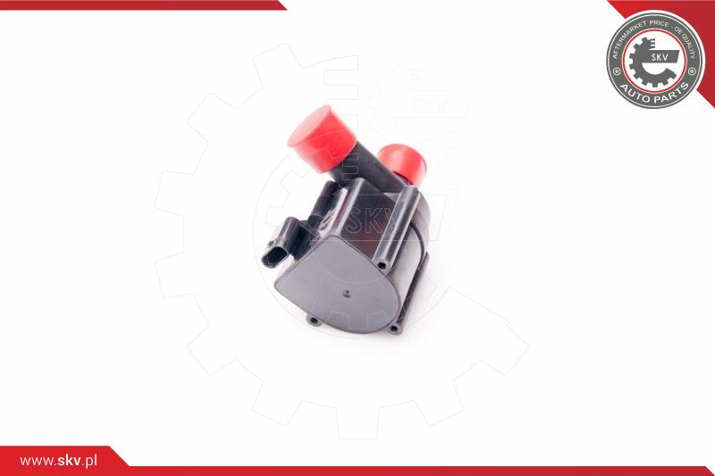 ESEN SKV Wasserumwälzpumpe, Standheizung