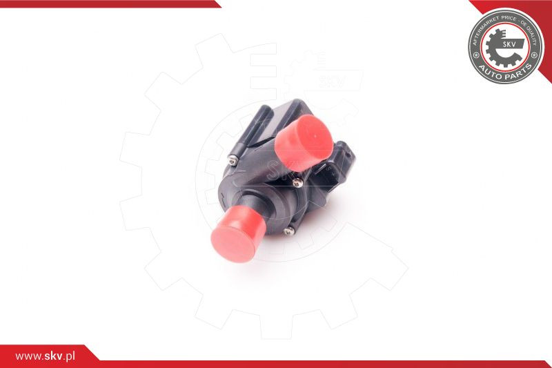 ESEN SKV Wasserumwälzpumpe, Standheizung