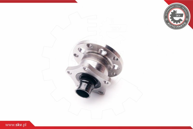 ESEN SKV Radlagersatz