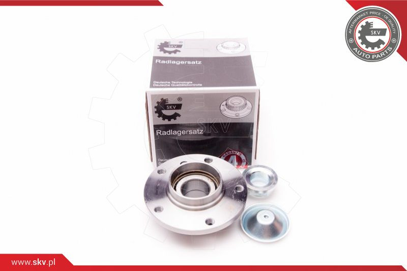 ESEN SKV Radlagersatz