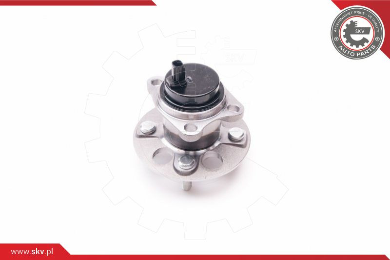 ESEN SKV Radlagersatz