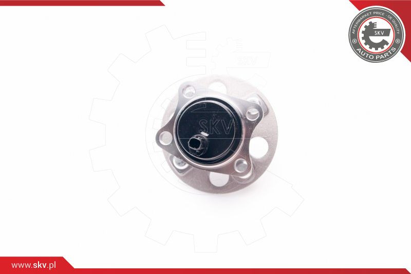 ESEN SKV Radlagersatz