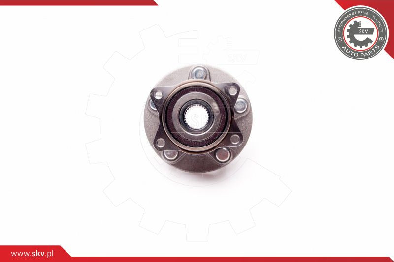 ESEN SKV Radlagersatz