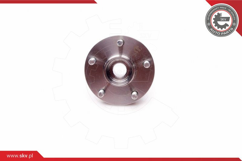 ESEN SKV Radlagersatz