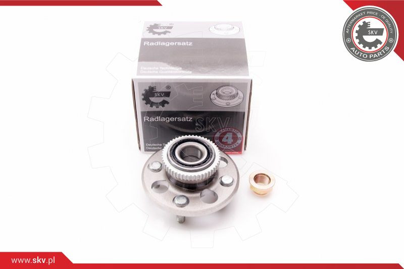 ESEN SKV Radlagersatz