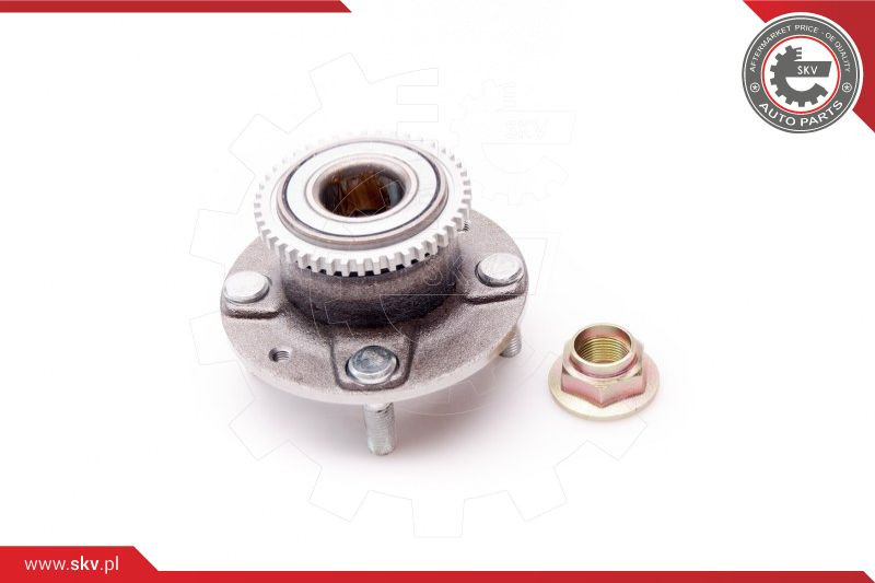 ESEN SKV Radlagersatz