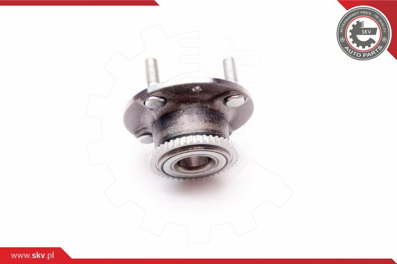 ESEN SKV Radlagersatz