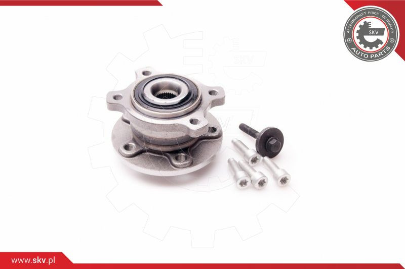 ESEN SKV Radlagersatz