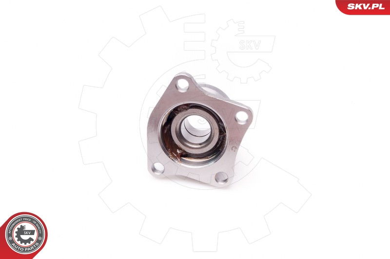 ESEN SKV Radlagersatz